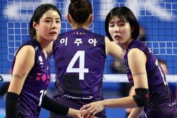 Scandal rúng động bóng chuyền Hàn Quốc